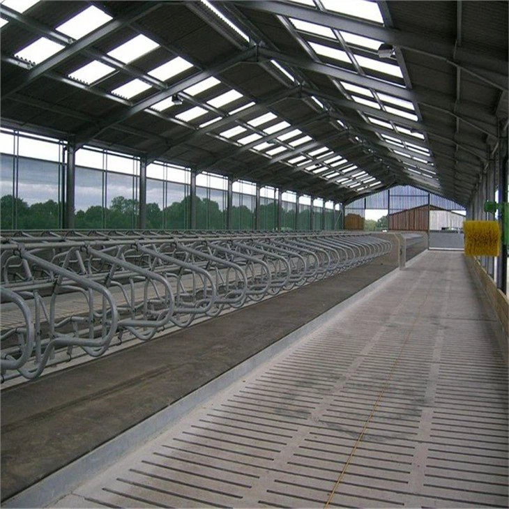 Metal Frame Cattle Barn 3